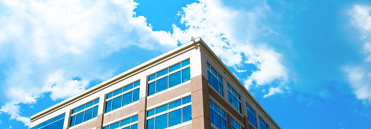 自动攻击网站工具下载